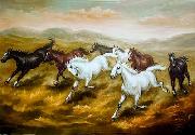 unknow artist Horses 08 oil painting picture wholesale
